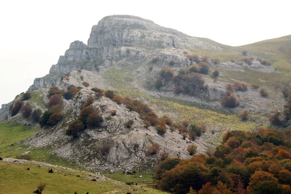 Zona Rurală Bască Într Toamnă — Fotografie, imagine de stoc