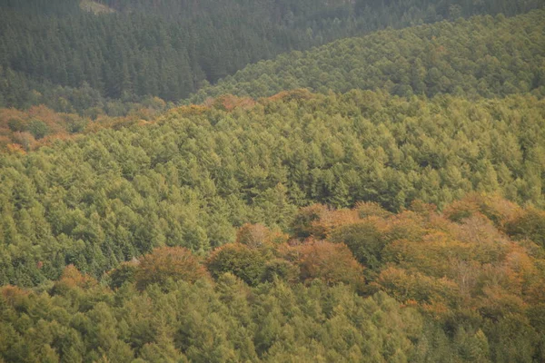 Baskisch Platteland Een Herfstdag — Stockfoto