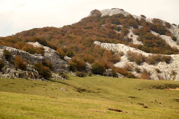 Baskische Landschaft Einem Herbsttag — Stockfoto