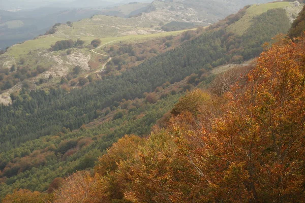 Bir Sonbahar Gününde Bask Kırsalında — Stok fotoğraf