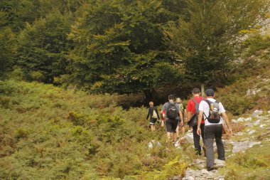 Bask ülkesinin dağlarında yürüyüş.