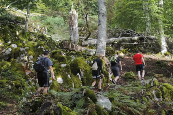 Randonnée Dans Les Montagnes Pays Basque — Photo