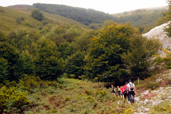 Randonnée Dans Les Montagnes Pays Basque — Photo