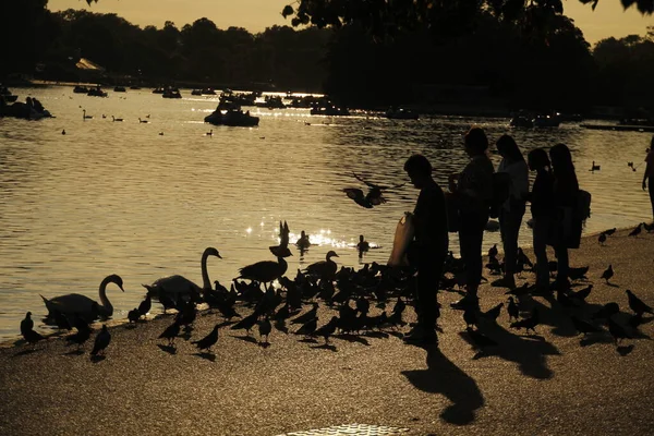 Gente Parque Londres — Foto de Stock