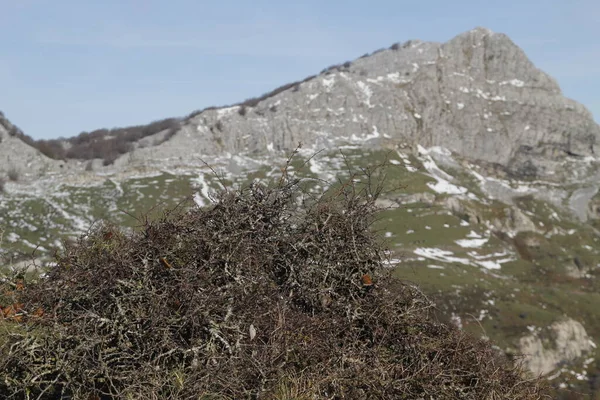 Montagna Nei Paesi Baschi — Foto Stock