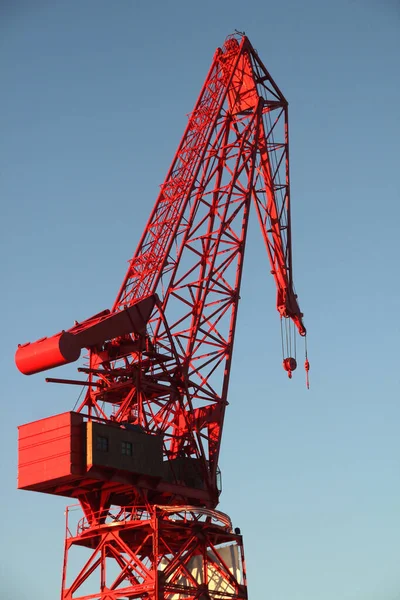 Grue Rouge Dans Estuaire Bilbao — Photo