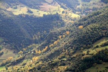 Bask Ülkesi 'ndeki Orman