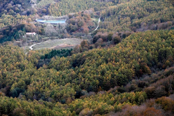 Erdő Baszkföldön — Stock Fotó