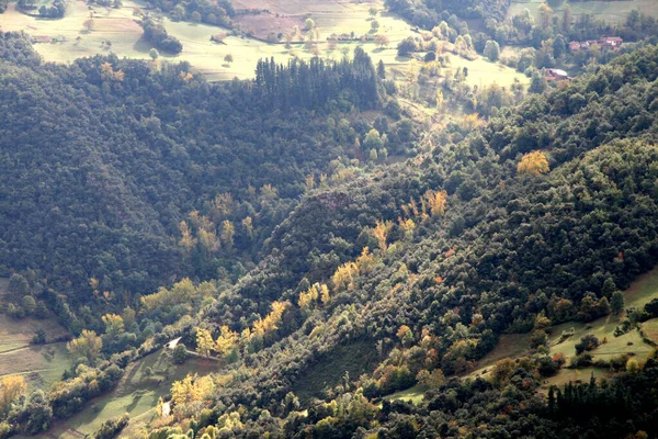 Bosque País Vasco —  Fotos de Stock