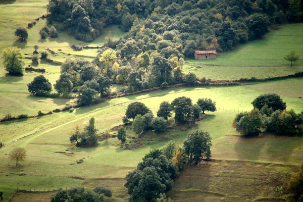 Las Kraju Basków — Zdjęcie stockowe