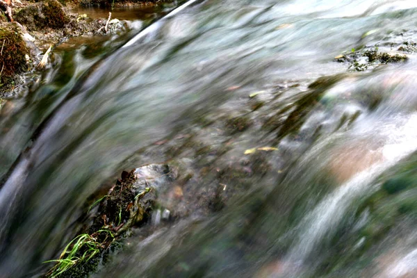 Pequeño Río Bosque — Foto de Stock