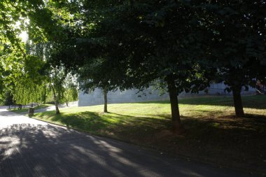 Kentsel bir ortama park et