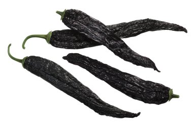 Pasilla bajio chili or chile negro, a dried Chilaca pepper, whole pods clipart
