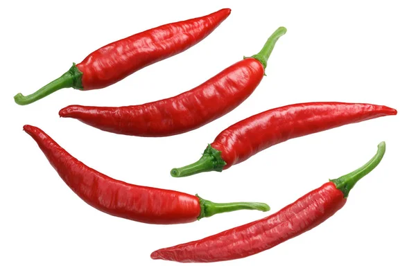 Pimientos Chile Guajillo Mexicano Capsicum Annuum Vista Superior — Foto de Stock