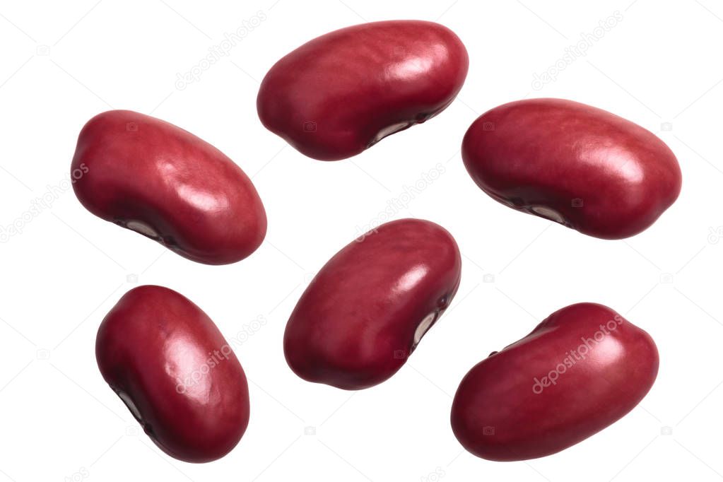 Red kidney beans (Phaseolus vulgaris), fresh seeds, top view