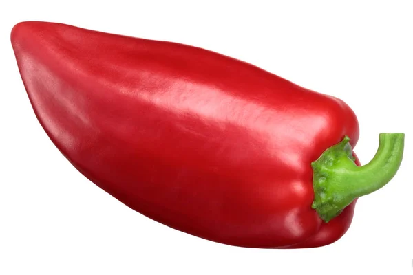 Pimiento Rojo Grueso Plaza Una Reliquia Española Fresca Vaina Entera — Foto de Stock