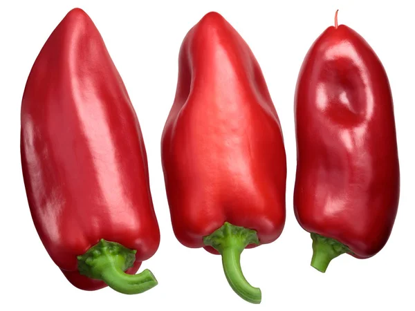 Red Bell Peppers Grueso Plaza Spanish Heirloom Fresh Whole Pods — Stock Photo, Image