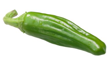 Padron biber, bir İspanyol Hatıra (Capsicum yılda), yeşil, Bütün pod