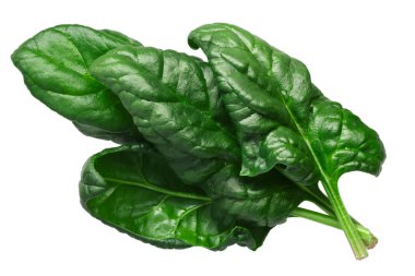 Spinach leaves, fresh (Spinacia oleracea), top view clipart