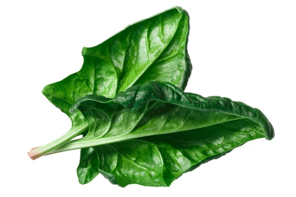 Spinach Leaves Overturned Spinacia Oleracea Top View — Stock Photo, Image