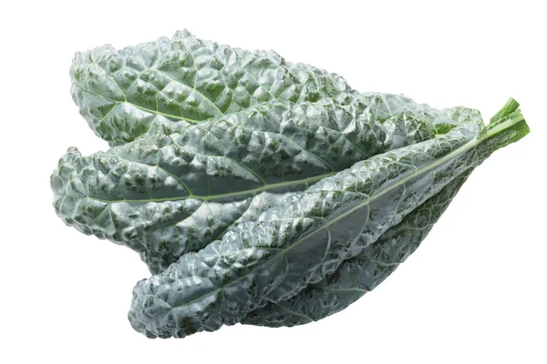 Bumpy Leaf Cabbage Kale Nero Toscana Brassica Oleracea — Stock Photo, Image