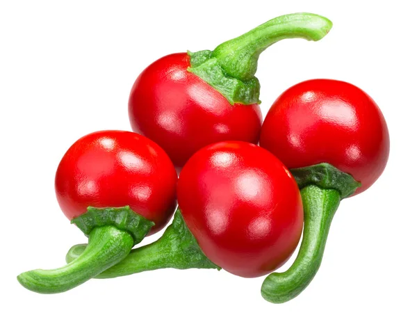 Koral Hungarian Cherry Peppers Cseresznye Paprika Capsicum Annuum Var Cerasiforme — Stock Photo, Image