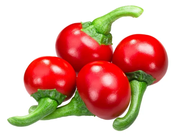 Koral Húngaro Cherry Peppers Cseresznye Paprika Capsicum Annuum Var Cerasiforme — Fotografia de Stock