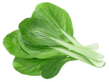 Bok choy, pak choi veya pok choi, Çin pazı (Brassica rapa subsp. chinensis), üstten görünüm