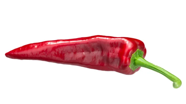 Numex Espanola Improved Chile Pepper Ripe New Mexican Pod Type — Stock Photo, Image