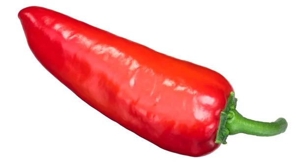 Ramiro Sweet Pepper Capsicum Annuum Fruit Ripe Whole Pod Top — Stock Photo, Image