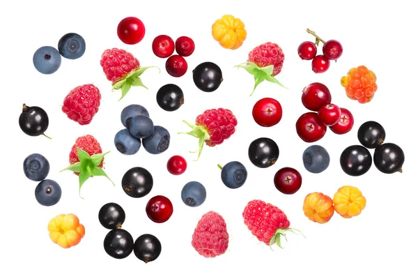 Foraged Cultivated Berries Bilberry Cranberry Lingonberry Black Currant Cloudberry Raspberry — Stock Photo, Image
