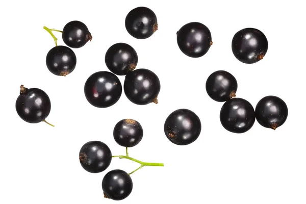 Blackcurrant Berries Ribes Nigrum Top View — Stock Photo, Image