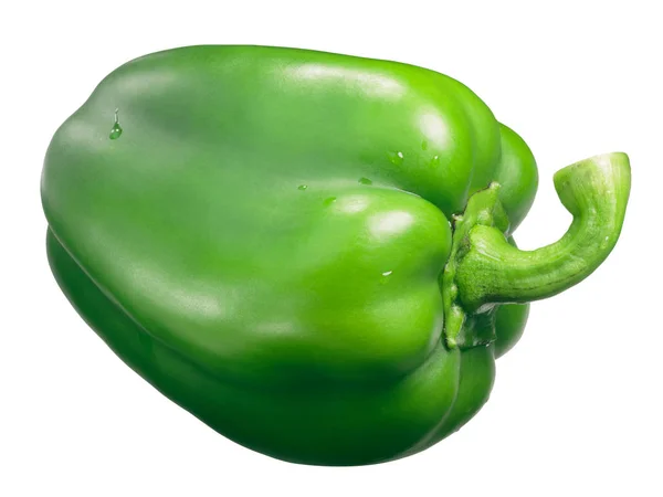 Yolo Wonder Grüne Süße Paprika Capsicum Annuum Eine Verbesserte Version — Stockfoto
