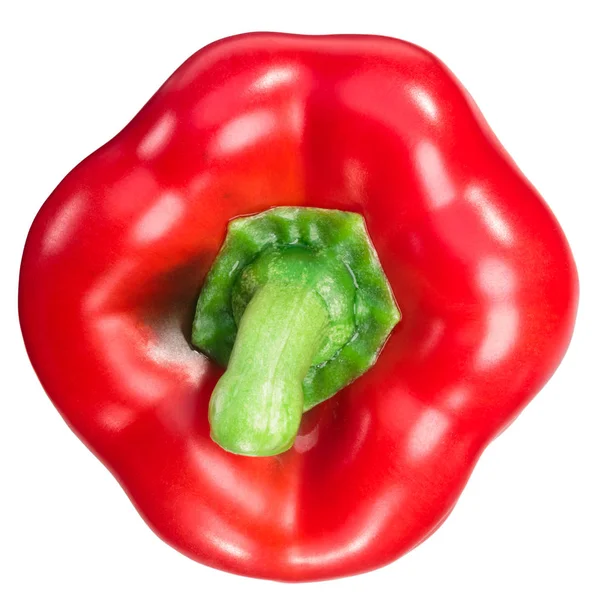 Poivron Doux California Wonder Capsicum Annuum Gousse Entière Rouge Vue — Photo