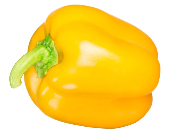 Golden California Wonder Poivron Doux Capsicum Annuum Gousse Entière Vue — Photo