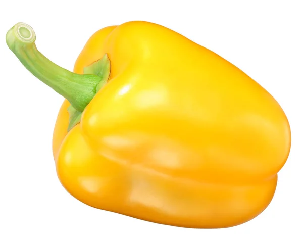 Golden California Wonder Poivron Doux Capsicum Annuum Gousse Entière Vue — Photo