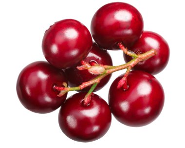 Lingonberries (Vaccinium vitis-idaea meyve), üstten görünüm küme