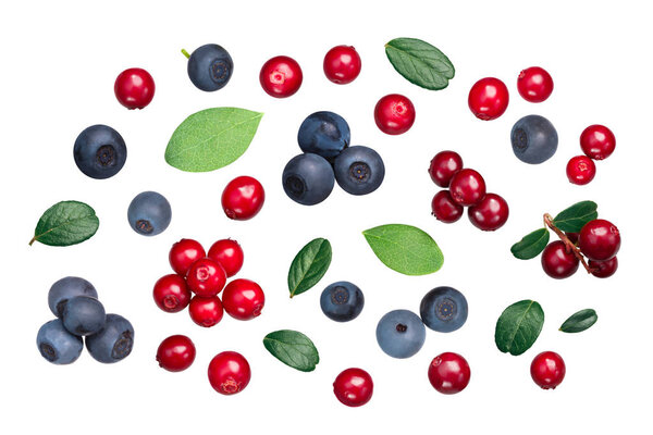 Lingonberry and Bilberry (fruits of Vaccinium vitis-idaea, V. myrtiilus) with leaves, top view