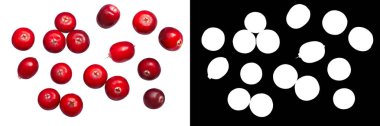 Kızılcık (Vaccinium oxycoccus meyvelerini), ana sayfa görünümü. 