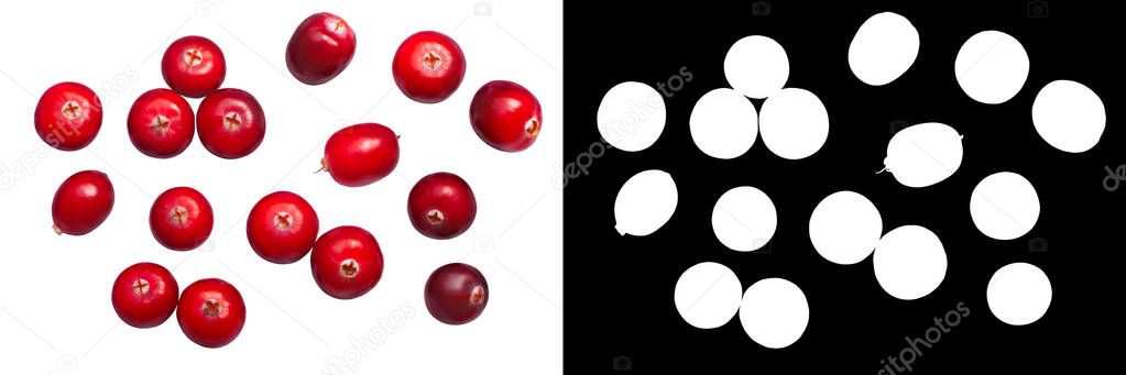 Cranberries (fruits of Vaccinium oxycoccus), top view. 