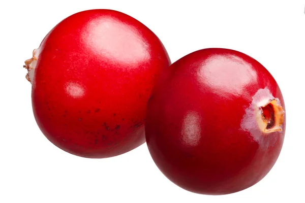 Cranberries Frutos Vaccinium Oxycoccus Duas Bagas — Fotografia de Stock