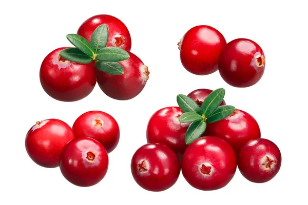 Cranberries Fruits Vaccinium Oxycoccus Piles Two Three Six — Stock Photo, Image