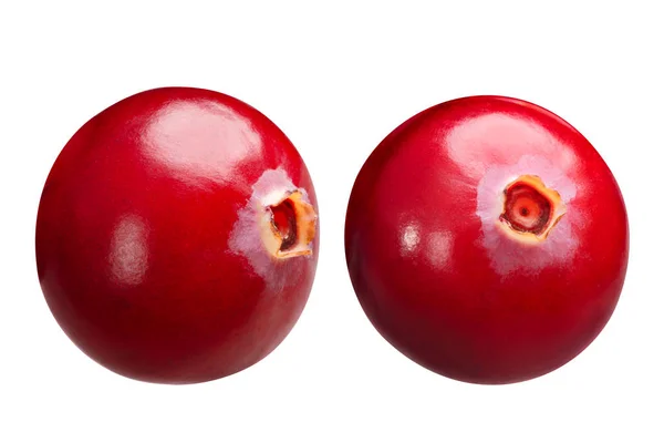 Cranberries Frutos Vaccinium Oxycoccus Bagas Simples — Fotografia de Stock