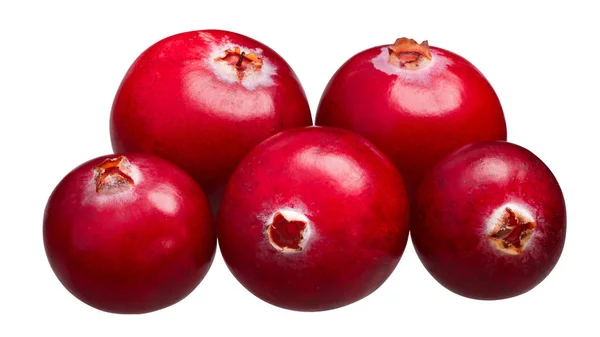 Cranberries Buah Dari Vaccinium Oxycoccus Tumpukan Lima — Stok Foto