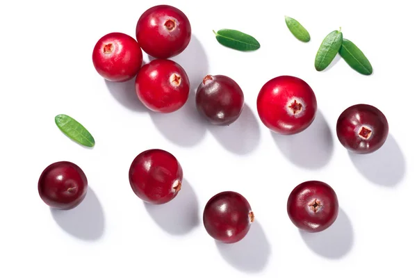 Cranberries Vaccinium Oxycoccus Top View Direct Hard Light — Stock Photo, Image