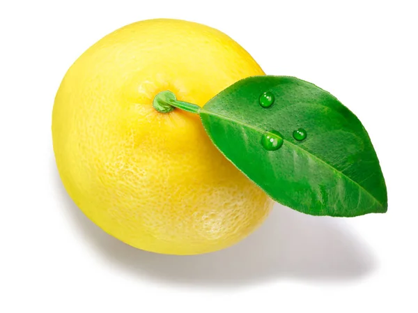 Whole lemon w. leaf, top view — Stock Photo, Image