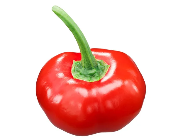 Aji Brazil Sütemény Paprika Capsicum Baccatum Érett Egész Pod — Stock Fotó