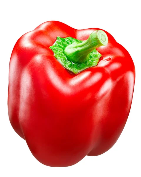 Red Bell Pepper Capsicum Annuum Fruit Whole Pod California Wonder — Stock Photo, Image