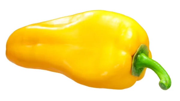 Raksasa Yellow Patrizia Pepper Capsicum Annuum Seluruh Pod — Stok Foto