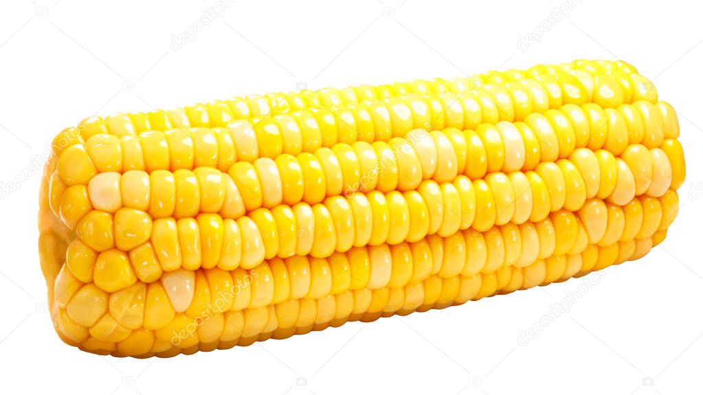 Corn on cob (Zea mays), or whole maize ear isolated